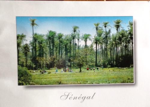 7db242c44d7017c6729231a0300cce41