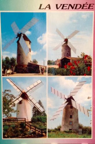 D0dad98fcfddff06e2b002beae4f38c4